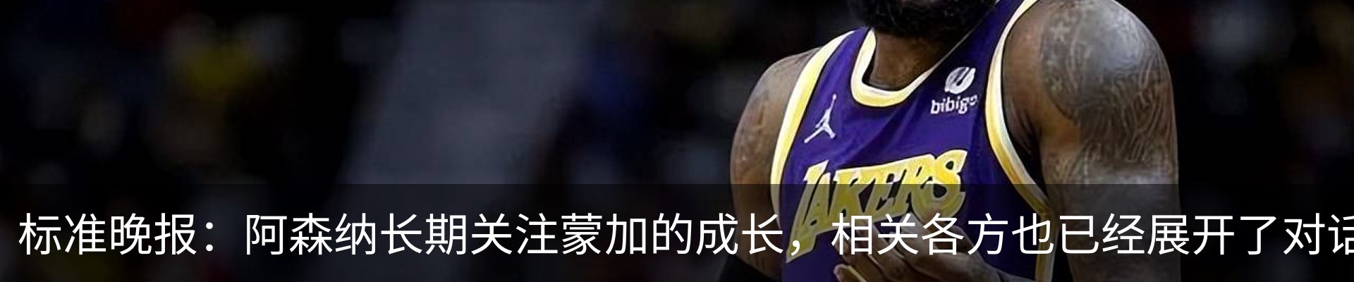最新动态